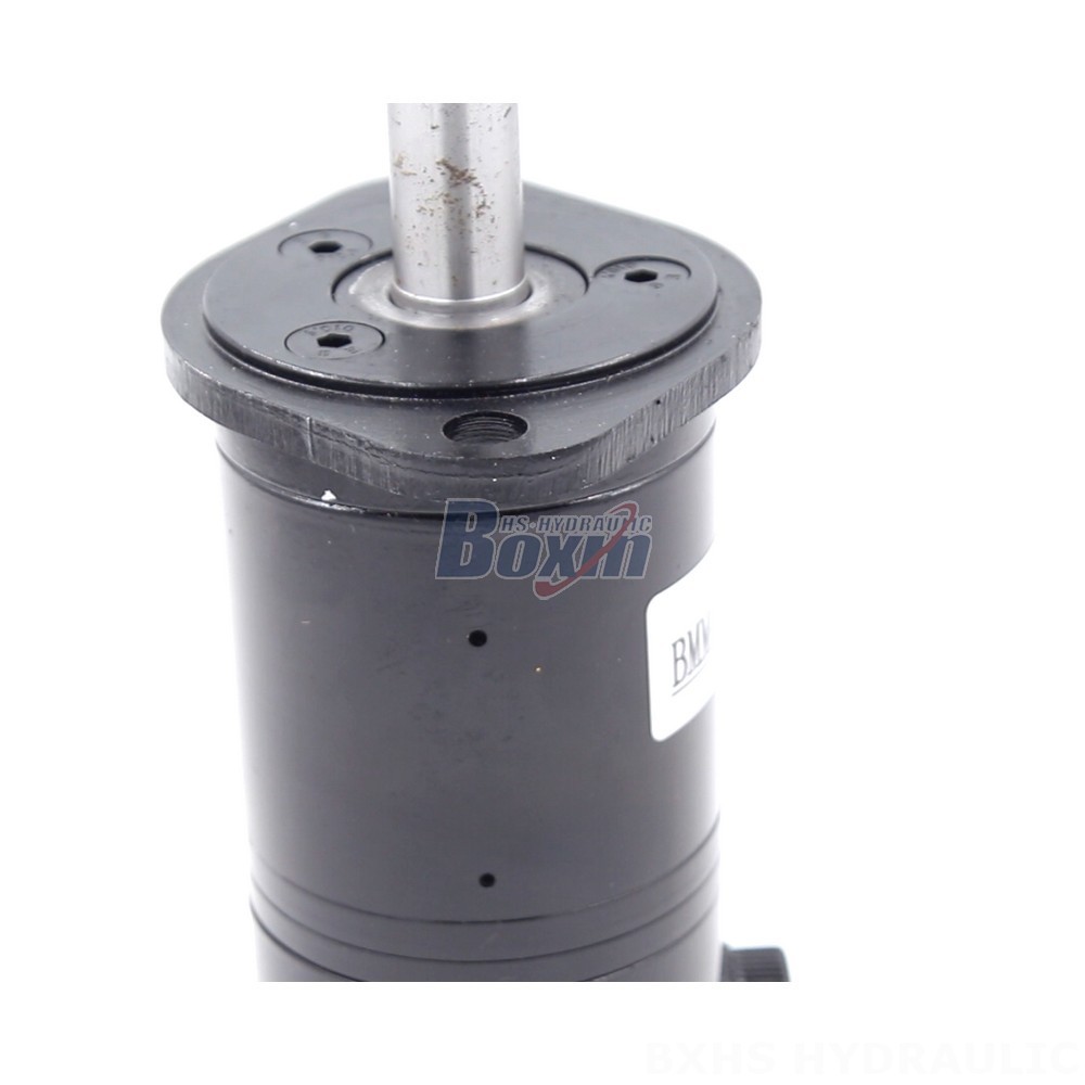 BMM 8 cc/r 14 Lpm Cycloidal Hydraulic Motor - Factory Price detail image
